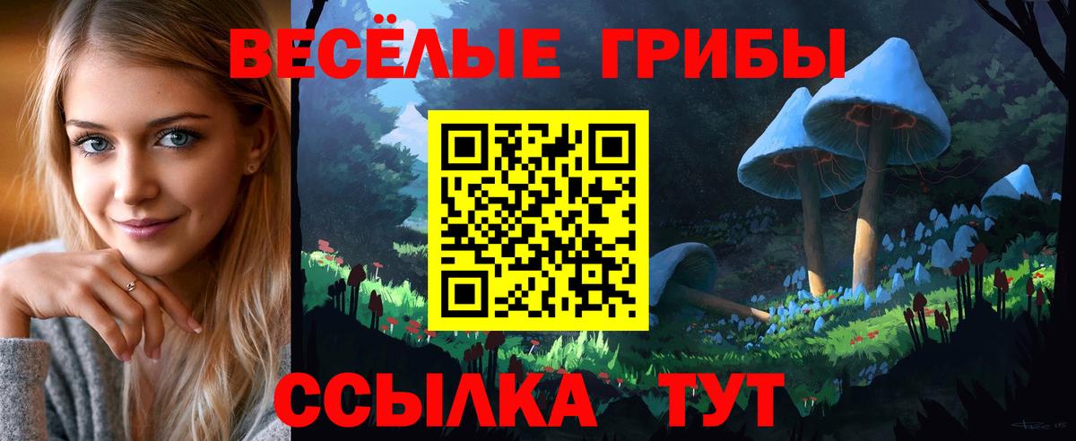 Псилоцибиновые грибы GOLDEN TEACHER  Вход с VPN  Феодосия 